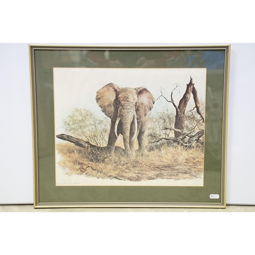 139 - Denis Murphy (South African, 1935 - 2012), Masai Giraffe, colour print, signed lower right together ... 