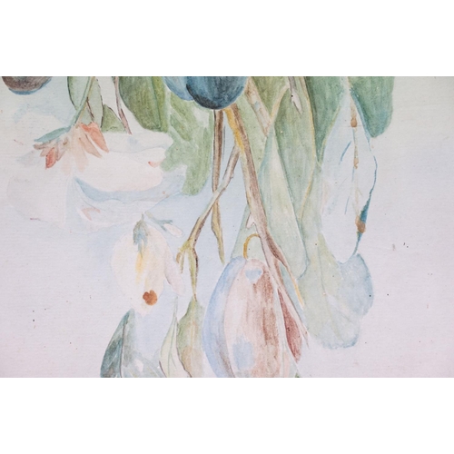 148 - N Hamblin, spray of flowers, watercolour, signed lower right, 54.5 x 24cm and another spray of flowe... 