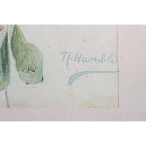 148 - N Hamblin, spray of flowers, watercolour, signed lower right, 54.5 x 24cm and another spray of flowe... 