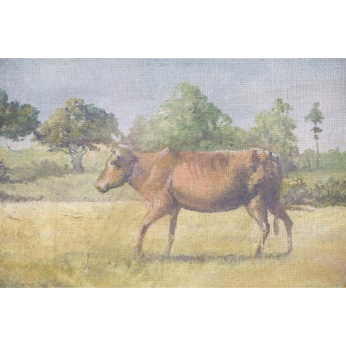 114 - Gilt framed oil painting study of Masai Herdsmen with cattle, 37 x 45cm