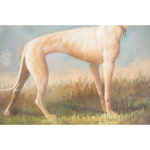 116 - Bird's eye maple framed oil painting of a greyhound on heathland landscape, 18.5 x 22.5cm