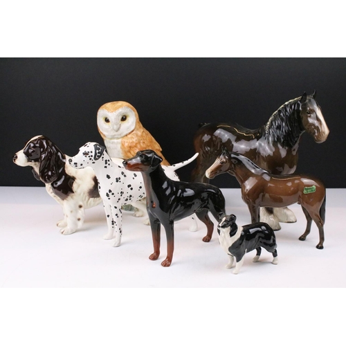 73 - Group of Beswick porcelain animals to include a Shire horse, 'Arnoldene' Dalmatian, foal, Border Col... 