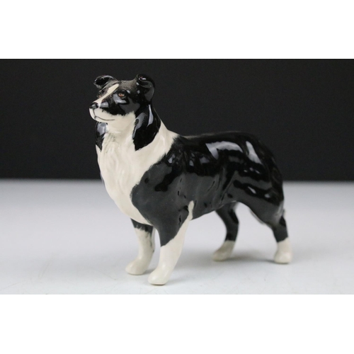 73 - Group of Beswick porcelain animals to include a Shire horse, 'Arnoldene' Dalmatian, foal, Border Col... 