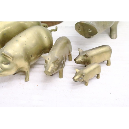 506 - Cast metal model of a stag mounted on a wooden base (approx 45cm high), together with a group of bra... 