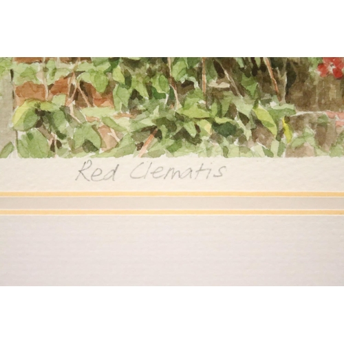 60 - Collection of Glyn Martin watercolours, comprising, Red Clematis 1990, 20 x 27.5cm, Apple Blossom 19... 