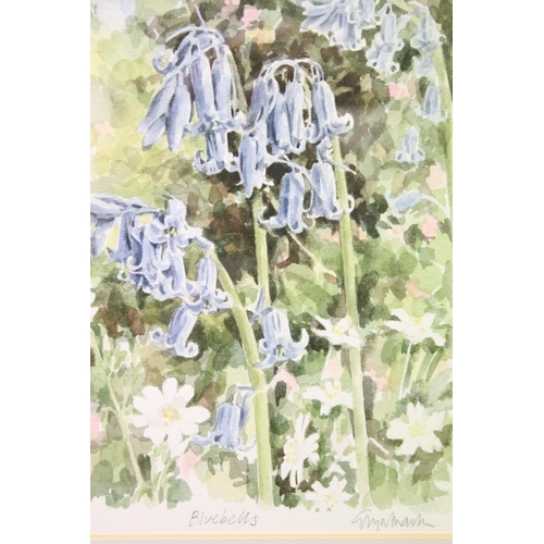 60 - Collection of Glyn Martin watercolours, comprising, Red Clematis 1990, 20 x 27.5cm, Apple Blossom 19... 