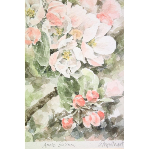 60 - Collection of Glyn Martin watercolours, comprising, Red Clematis 1990, 20 x 27.5cm, Apple Blossom 19... 