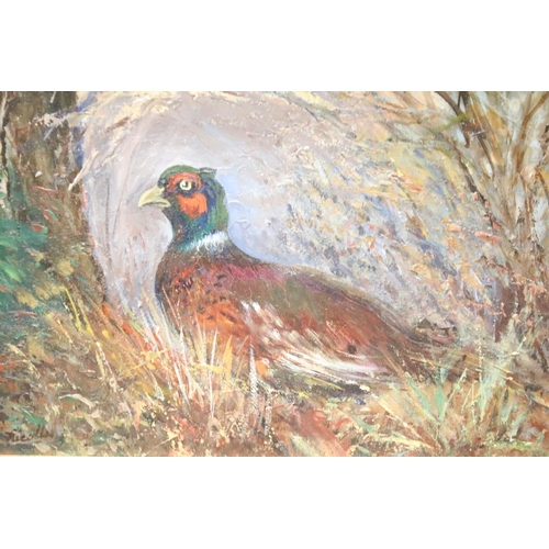 161 - Collection of paintings by Linda Nicolls, to include: Cock Pheasant, oil on canvas, signed lower lef... 