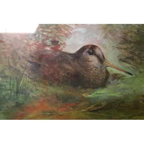 161 - Collection of paintings by Linda Nicolls, to include: Cock Pheasant, oil on canvas, signed lower lef... 