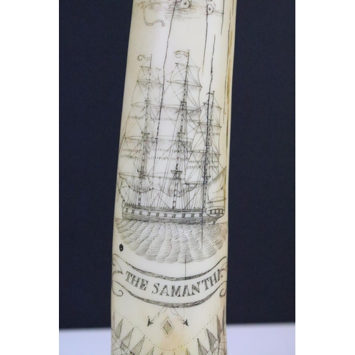 116 - Reproduction 19th century style Walrus Tusk Scrimshaw inscribed ‘ The Samantha ‘, 29.5cm long