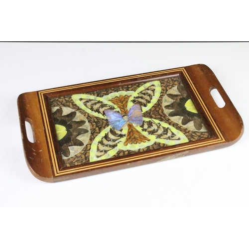 119 - Small wooden inlaid tray inset with butterfly wings, 42cm long