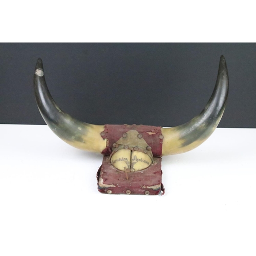 129 - Taxidermy - A wall mounted bull horn presentation inscribed 