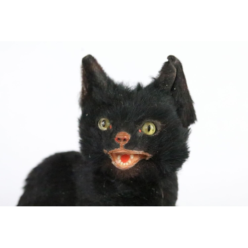 195 - Early 20th century small black fur covered model of a seated cat with open mouth and glass eyes, 8cm... 