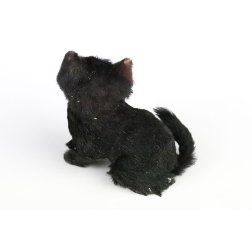 195 - Early 20th century small black fur covered model of a seated cat with open mouth and glass eyes, 8cm... 