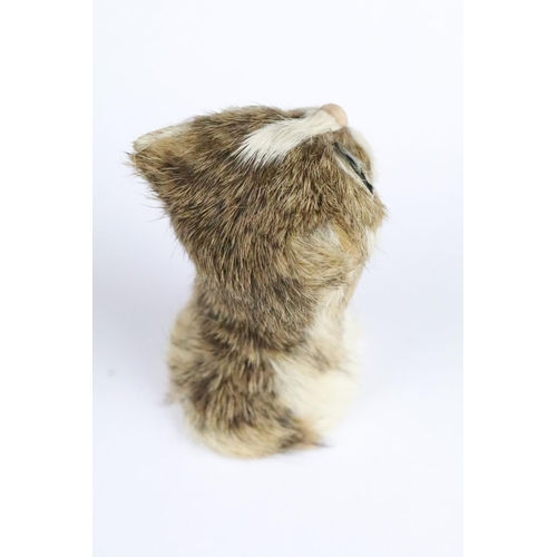 197 - Early 20th century small tabby fur covered model of a cat's head with glass eyes, 8cm high