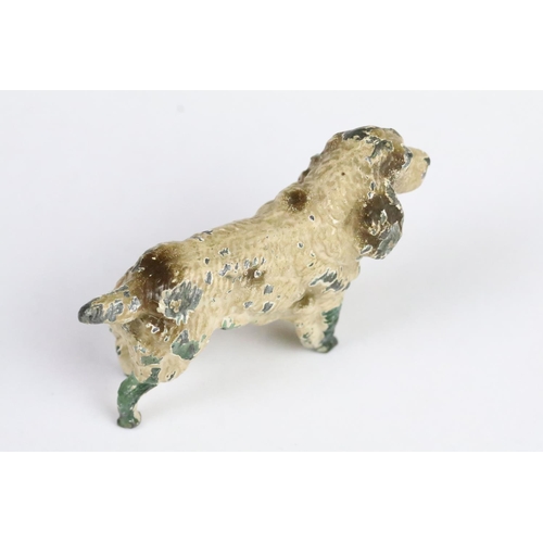 203 - Cold Painted Model of a Cocker Spaniel Dog, 7cm long