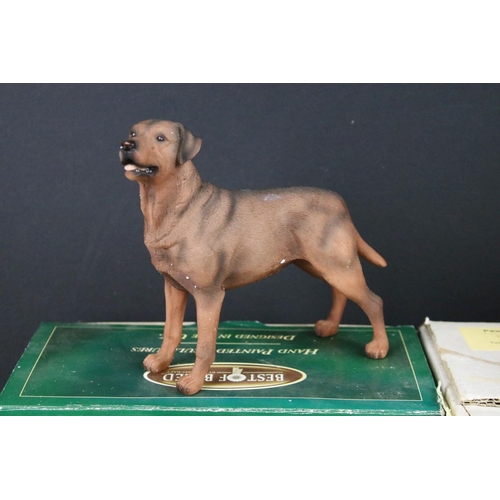 92 - Collection of animal figurines to include Best of Breed, Piggin', Nature Craft, John Perry polar bea... 