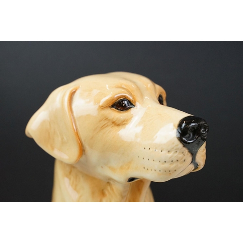 12 - Beswick fireside model of golden Labrador, numbered 2314, approx 33.5cm tall