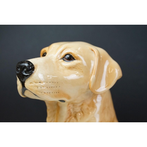 12 - Beswick fireside model of golden Labrador, numbered 2314, approx 33.5cm tall