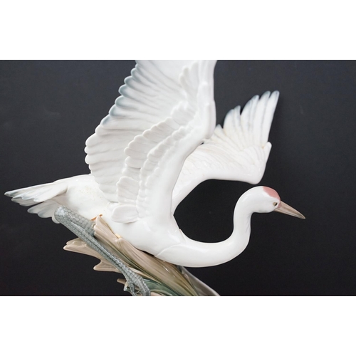 22 - Lladro Cranes porcelain figure group, no. 1456, one bird with outstretched wings on the water, anoth... 