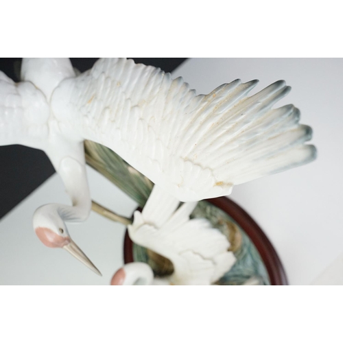 22 - Lladro Cranes porcelain figure group, no. 1456, one bird with outstretched wings on the water, anoth... 