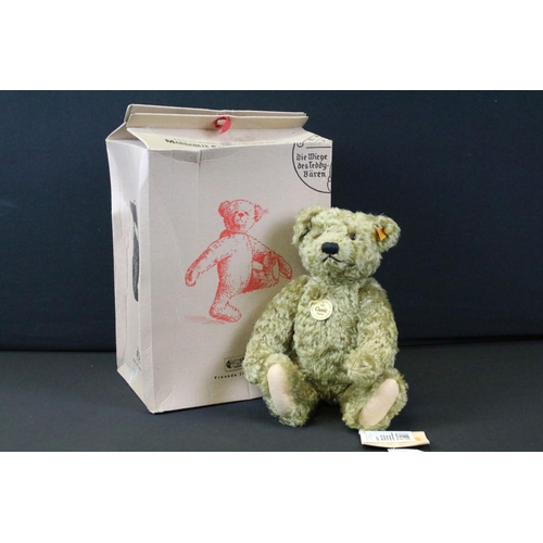 427 - Boxed Steiff 1920 Classic Teddy Bear 000737, with yellow tag and button to ear and in brown box, bea... 