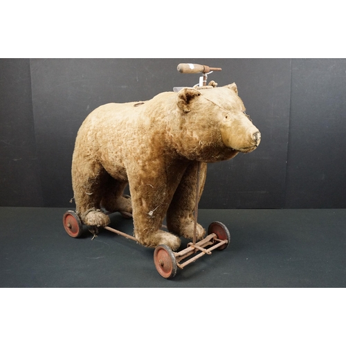 443 - Early-mid 20th C pull along bear, unmarked but in the Steiff style, with hump to shoulders, straw fi... 