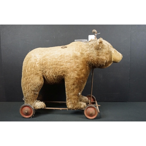 443 - Early-mid 20th C pull along bear, unmarked but in the Steiff style, with hump to shoulders, straw fi... 