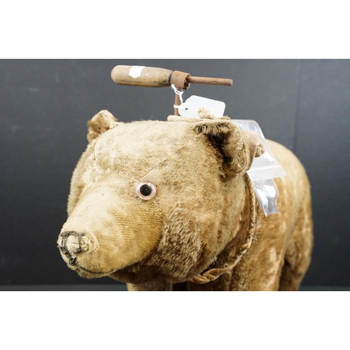 443 - Early-mid 20th C pull along bear, unmarked but in the Steiff style, with hump to shoulders, straw fi... 