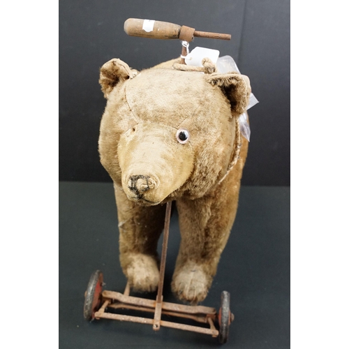 443 - Early-mid 20th C pull along bear, unmarked but in the Steiff style, with hump to shoulders, straw fi... 