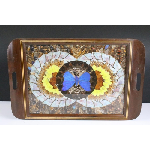 162 - Taxidermy - An early 20th century butterfly wing serving tray of rectangular form, glazed, approx 51... 