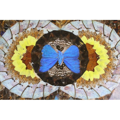 162 - Taxidermy - An early 20th century butterfly wing serving tray of rectangular form, glazed, approx 51... 