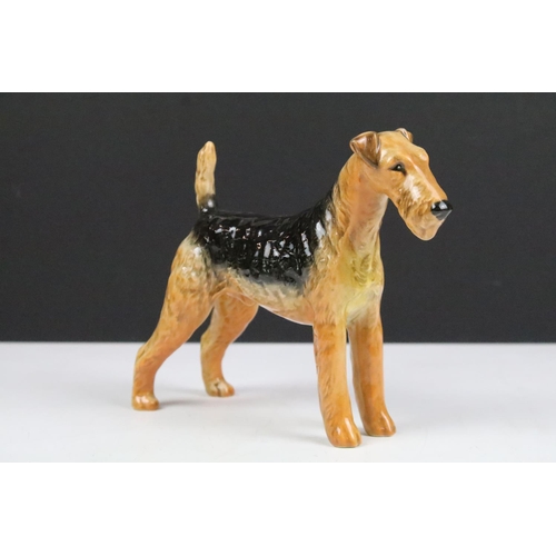 90 - Collection of ceramics dog figurines to include B&G Denmark dog, Royal Doulton figurines including c... 