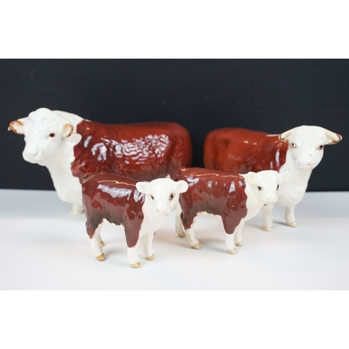 71 - Beswick family of Hereford cattle to include Ch. of Champions Bull & Cow and two calves