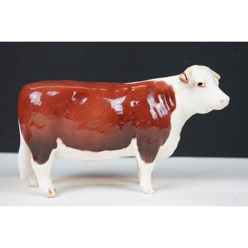 71 - Beswick family of Hereford cattle to include Ch. of Champions Bull & Cow and two calves