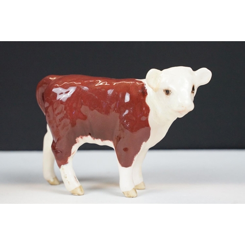 71 - Beswick family of Hereford cattle to include Ch. of Champions Bull & Cow and two calves