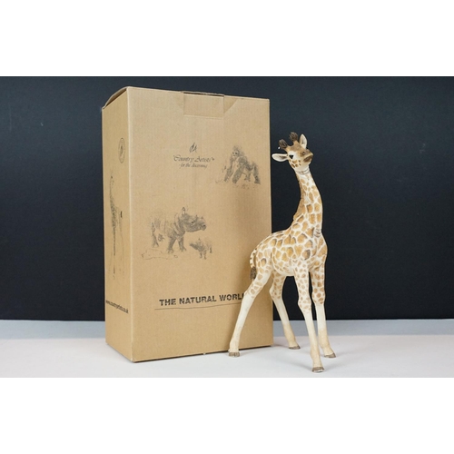 77 - Nine boxed Country Artists 'The Natural World' figures to include 03516 Chinchilla, 02553 Zebra, 025... 