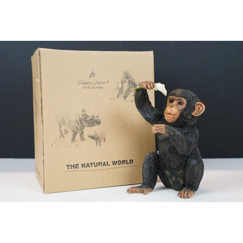 77 - Nine boxed Country Artists 'The Natural World' figures to include 03516 Chinchilla, 02553 Zebra, 025... 