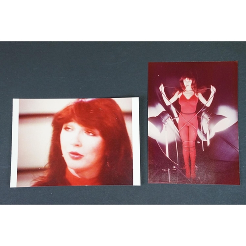 1557 - Memorabilia - 7 items of David Bowie / Kate Bush memorabilia to include David Bowie 1977 press photo... 