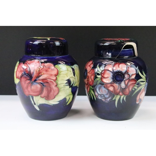 26 - Two Moorcroft pottery blue ground floral ginger jars to include a Hibiscus pattern and Anemone patte... 