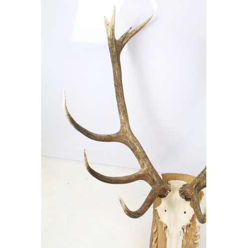 291 - Large pair of antlers, mounted on oak plinth carved with oak leaves and acorns, 119cm high x 70cm wi... 