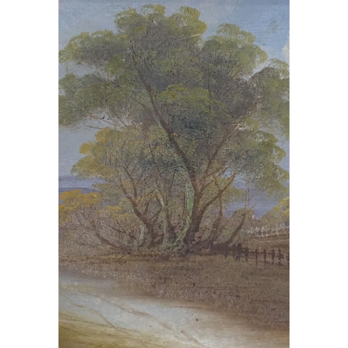 330 - English school, a pair: rural landscape scenes, oil on canvas, initialled TW lower right 23.5 x 43.5... 