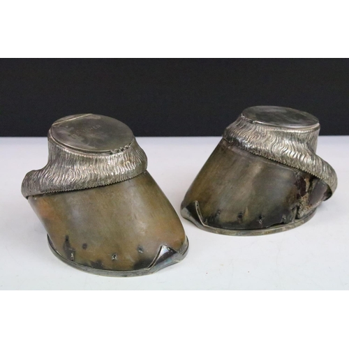 5 - Taxidermy - A pair of Victorian horse hoof inkwells with silver plated mounts, inscribed 'Cypmer 188... 