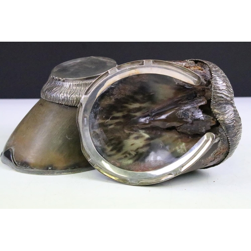 5 - Taxidermy - A pair of Victorian horse hoof inkwells with silver plated mounts, inscribed 'Cypmer 188... 