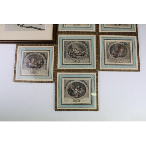 296 - A collection of framed and glazed antique prints to include birds and coloured examples.