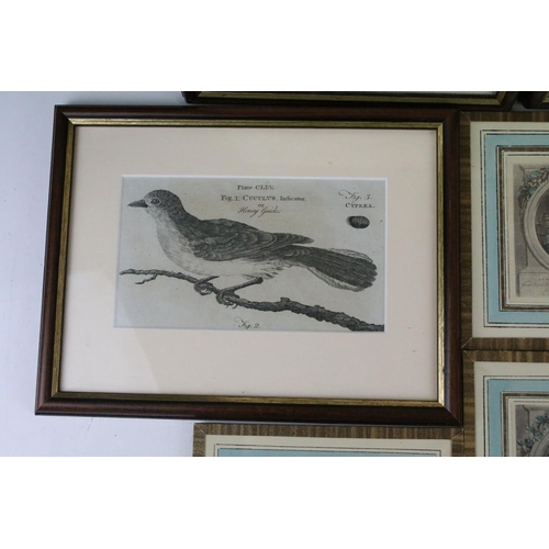 296 - A collection of framed and glazed antique prints to include birds and coloured examples.