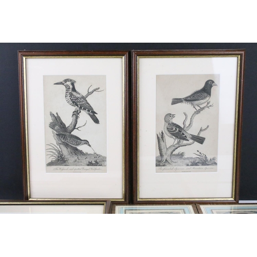 296 - A collection of framed and glazed antique prints to include birds and coloured examples.