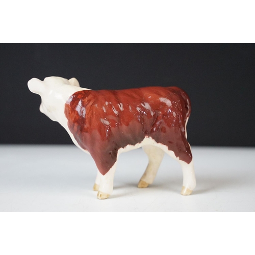 10 - Beswick family of Hereford cattle to include Ch. of Champions Bull & Cow and two calves