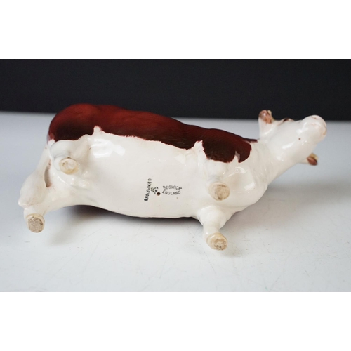 10 - Beswick family of Hereford cattle to include Ch. of Champions Bull & Cow and two calves