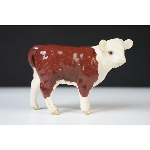 10 - Beswick family of Hereford cattle to include Ch. of Champions Bull & Cow and two calves